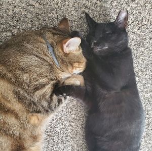 Meet your Posher, Alicia